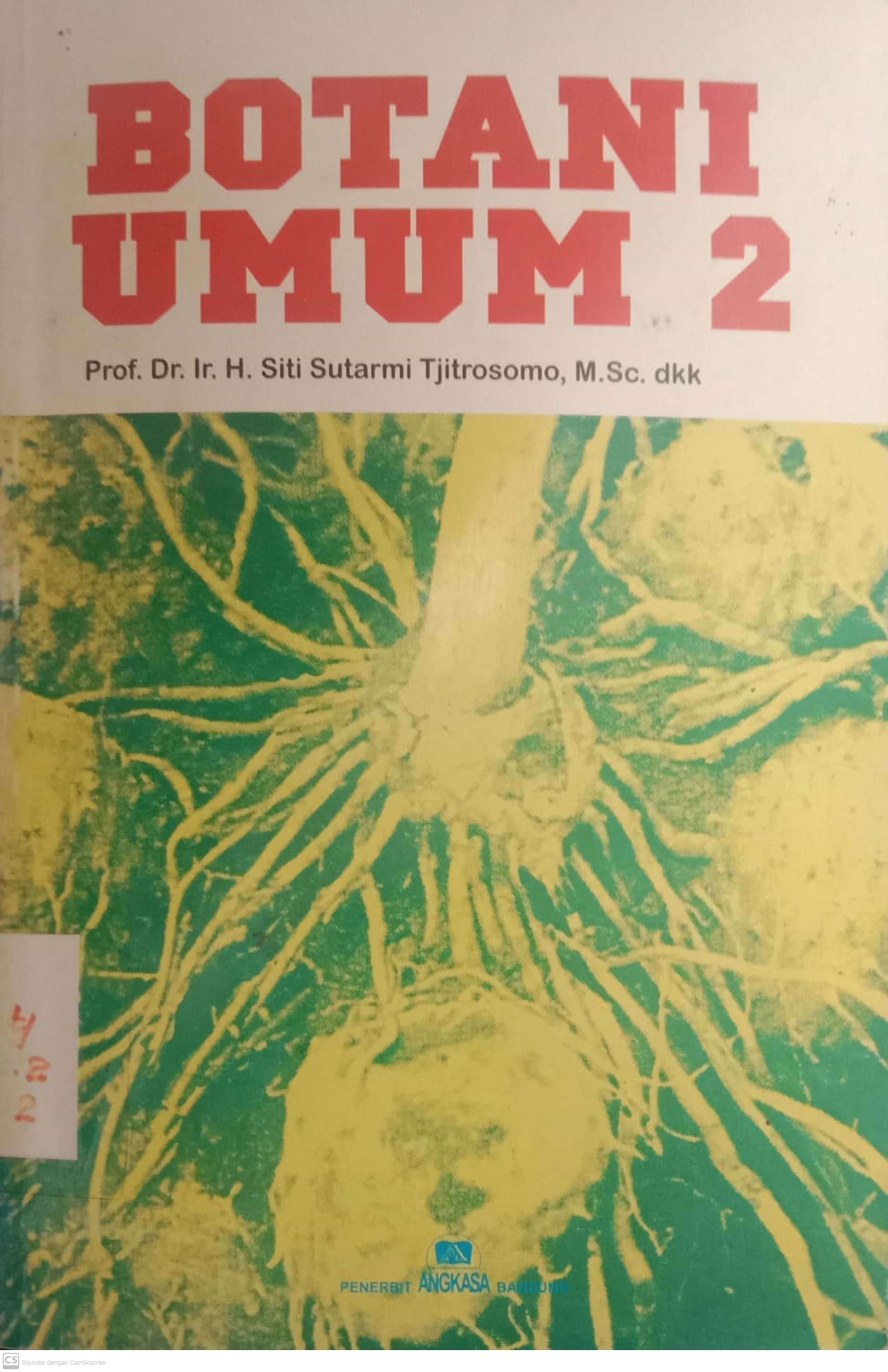 Botani Umum 2