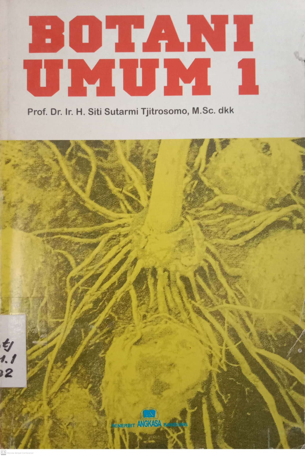 Botani Umum 1