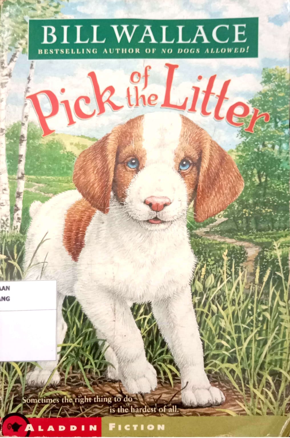 Pick Of The Litter