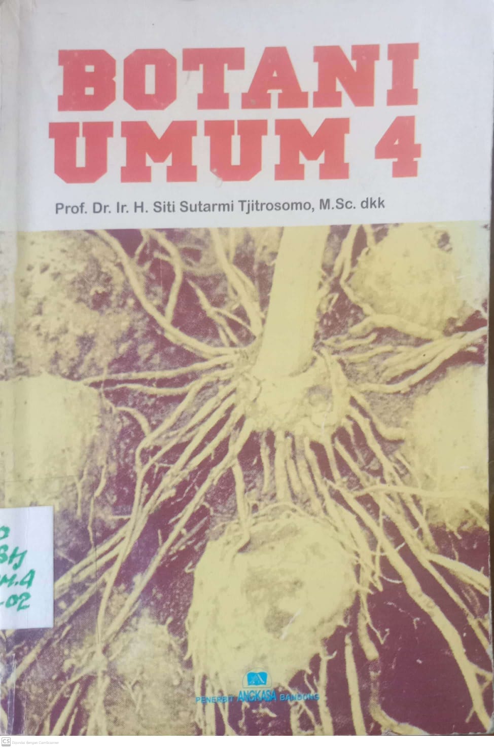 Botani Umum 4